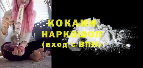 прущие грибы Гусь-Хрустальный