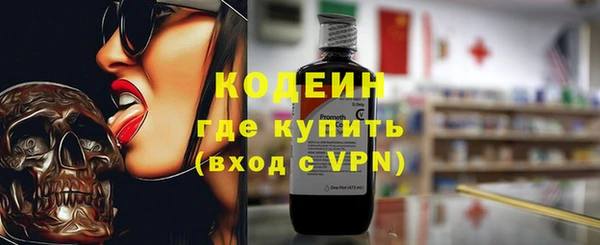 прущие грибы Гусь-Хрустальный