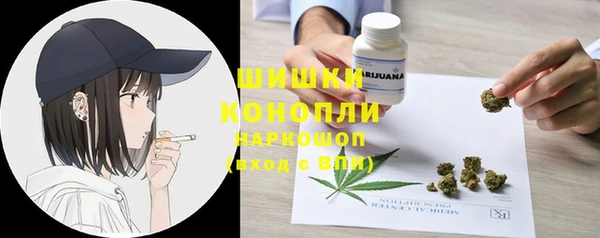 прущие грибы Гусь-Хрустальный