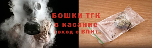 прущие грибы Гусь-Хрустальный