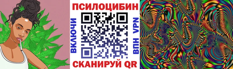 Псилоцибиновые грибы ЛСД  блэк спрут маркетплейс  Перевоз 