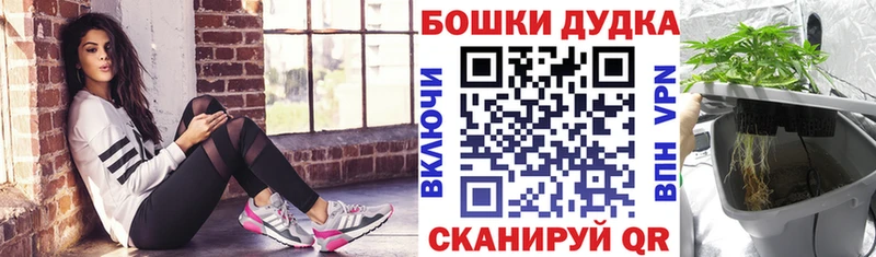 OMG ONION  Перевоз  Бошки марихуана план  где купить  